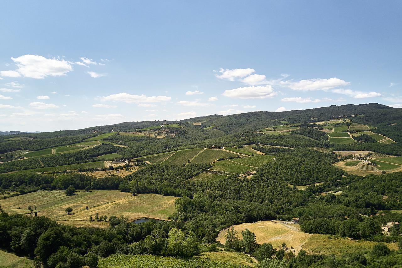 Willa Il Mercatale Di Radda Radda in Chianti Zewnętrze zdjęcie